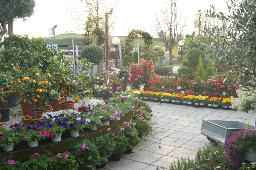 Bed and Breakfast Residenza I Ciclamini Řím Exteriér fotografie